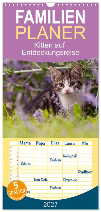 Kitten auf Entdeckungsreise (CALVENDO Familienplaner 2027)
