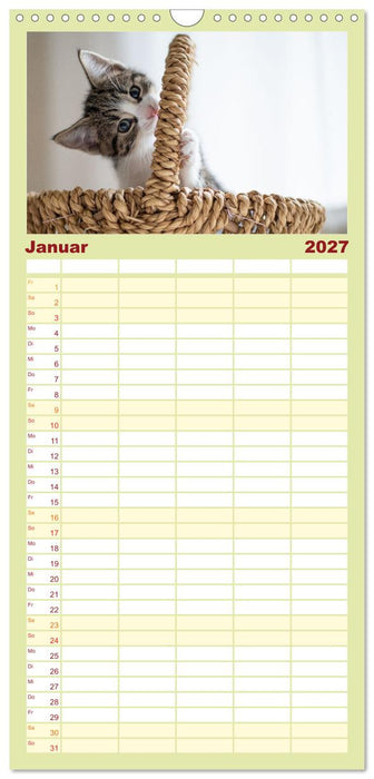 Kitten auf Entdeckungsreise (CALVENDO Familienplaner 2027)