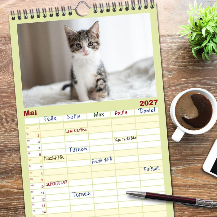 Kitten auf Entdeckungsreise (CALVENDO Familienplaner 2027)