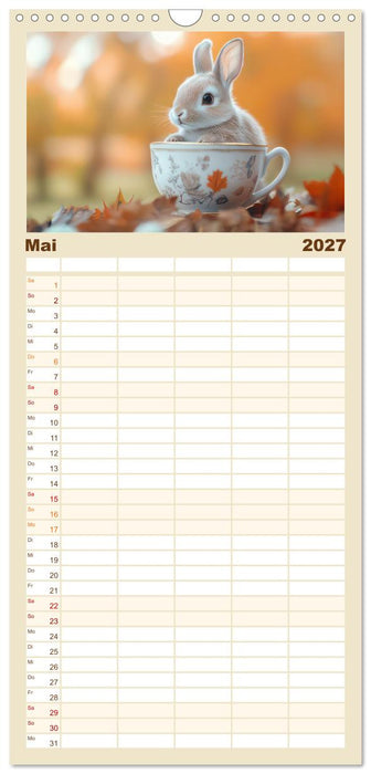 Tiere in Teetassen (CALVENDO Familienplaner 2027)