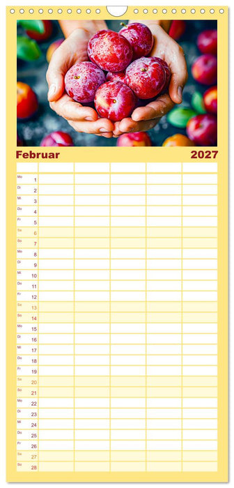 Ernteglück - Eine handvoll süßer Früchte zum Anbeißen (CALVENDO Familienplaner 2027)