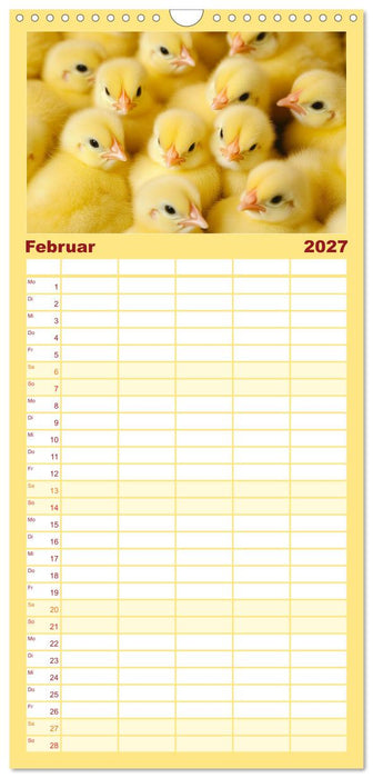 Kuschelblicke (CALVENDO Familienplaner 2027)