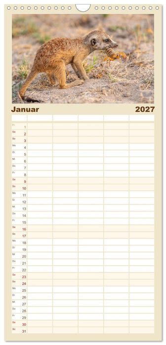 Afrikas kleine Stars (CALVENDO Familienplaner 2027)