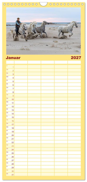 Die weißen Pferde der Camargue (CALVENDO Familienplaner 2027)