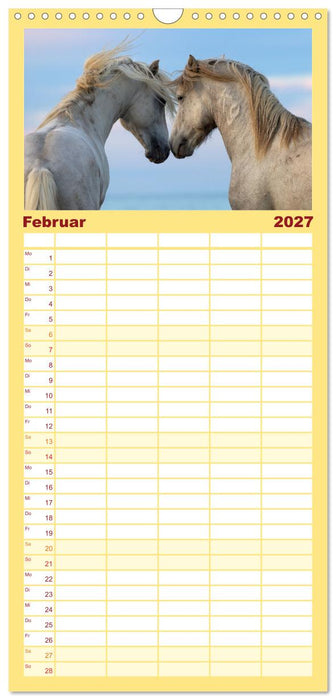 Die weißen Pferde der Camargue (CALVENDO Familienplaner 2027)