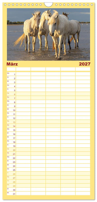 Die weißen Pferde der Camargue (CALVENDO Familienplaner 2027)
