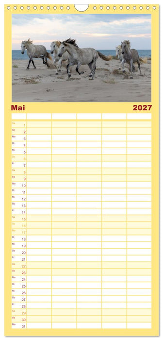 Die weißen Pferde der Camargue (CALVENDO Familienplaner 2027)