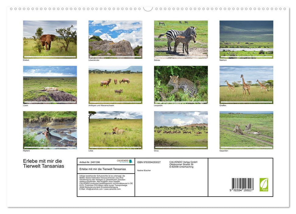 Erlebe mit mir die Tierwelt Tansanias (CALVENDO Premium Wandkalender 2027)