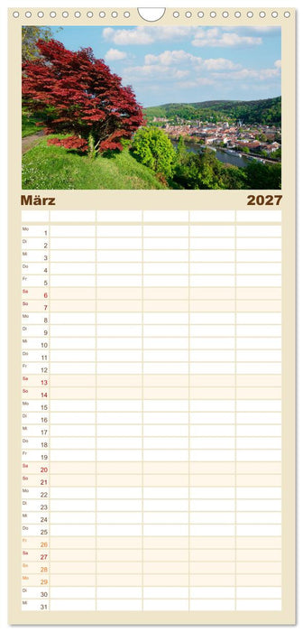 Heidelberg im Fokus (CALVENDO Familienplaner 2027)