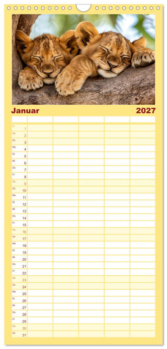 Wenn Tierchen träumen (CALVENDO Familienplaner 2027)