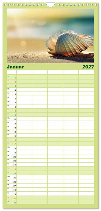 Faszination Muscheln (CALVENDO Familienplaner 2027)