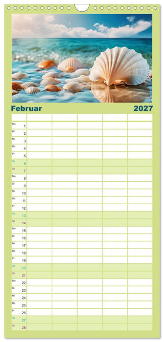 Faszination Muscheln (CALVENDO Familienplaner 2027)