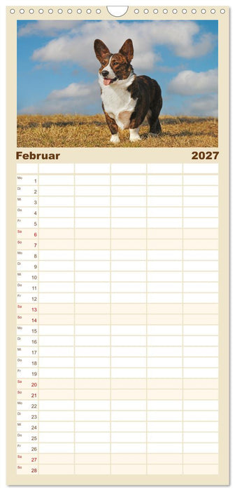 Britische Hütehunde - Treue Freunde auf vier Pfoten (CALVENDO Familienplaner 2027)