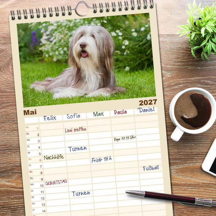 Britische Hütehunde - Treue Freunde auf vier Pfoten (CALVENDO Familienplaner 2027)