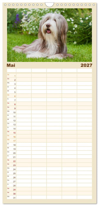 Britische Hütehunde - Treue Freunde auf vier Pfoten (CALVENDO Familienplaner 2027)