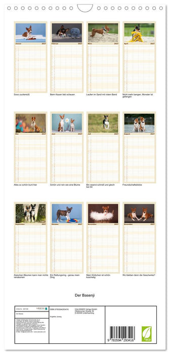 Der Basenji (CALVENDO Familienplaner 2027)