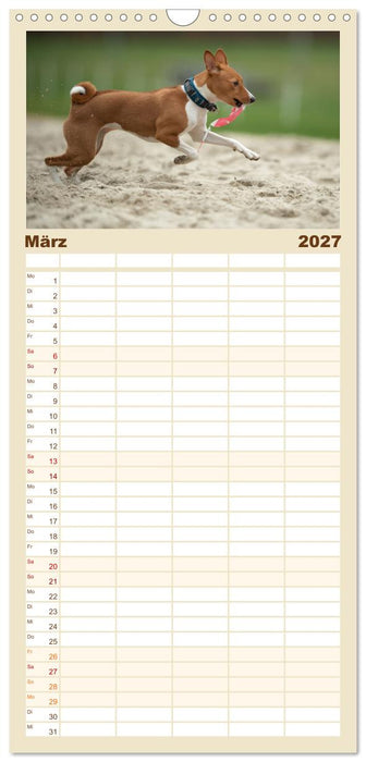 Der Basenji (CALVENDO Familienplaner 2027)