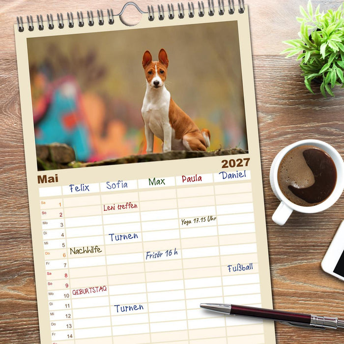 Der Basenji (CALVENDO Familienplaner 2027)