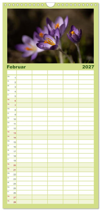 Frühlingsblüher - Farbenpracht nach dem Winter (CALVENDO Familienplaner 2027)