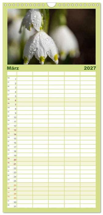 Frühlingsblüher - Farbenpracht nach dem Winter (CALVENDO Familienplaner 2027)
