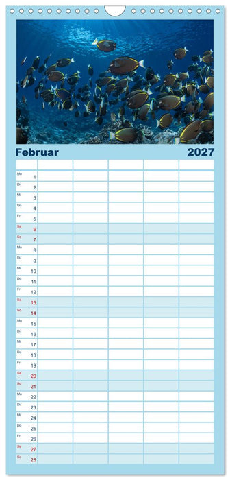 Unterwasserwelt Christmas Island (CALVENDO Familienplaner 2027)