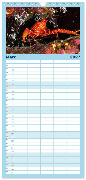 Unterwasserwelt Christmas Island (CALVENDO Familienplaner 2027)