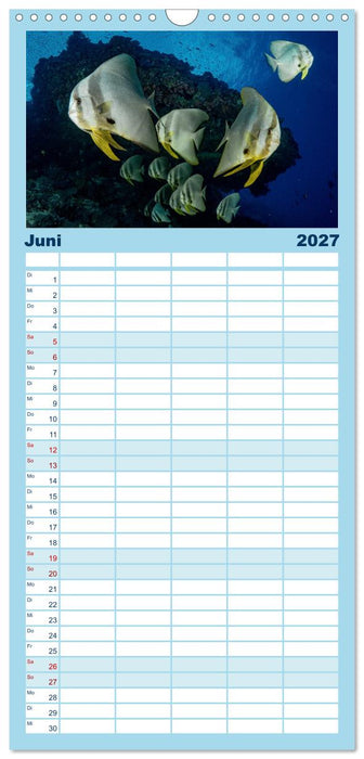 Unterwasserwelt Christmas Island (CALVENDO Familienplaner 2027)