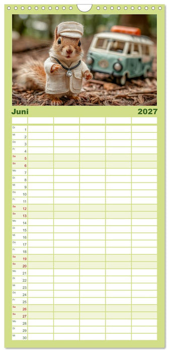 Eichhörnchen - Die lustigen Tiere und ihre Berufe im Wald (CALVENDO Familienplaner 2027)