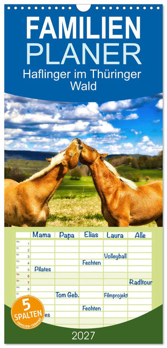 Haflinger im Thüringer Wald (CALVENDO Familienplaner 2027)