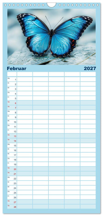 Blauer Zauberflug (CALVENDO Familienplaner 2027)