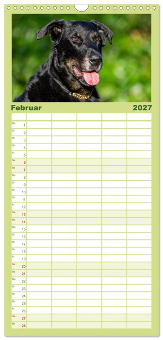Der Beauceron (CALVENDO Familienplaner 2027)