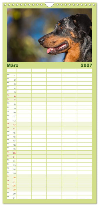 Der Beauceron (CALVENDO Familienplaner 2027)