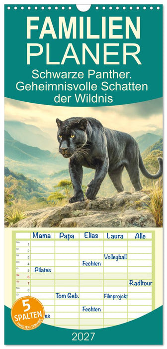 Schwarze Panther. Geheimnisvolle Schatten der Wildnis (CALVENDO Familienplaner 2027)