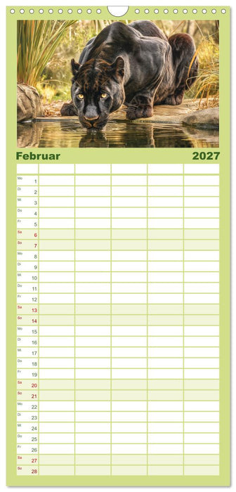 Schwarze Panther. Geheimnisvolle Schatten der Wildnis (CALVENDO Familienplaner 2027)