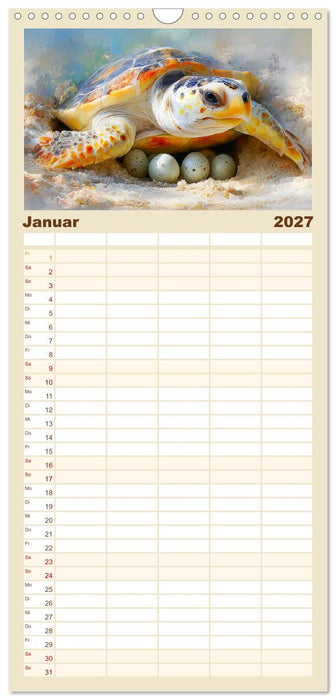 Meeresschildkröten. Reise durch die Ozeane (CALVENDO Familienplaner 2027)