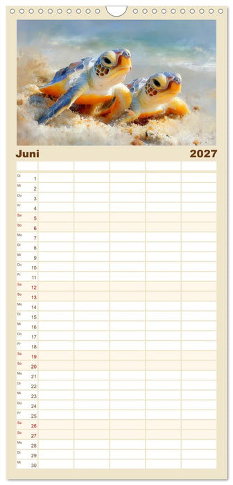 Meeresschildkröten. Reise durch die Ozeane (CALVENDO Familienplaner 2027)