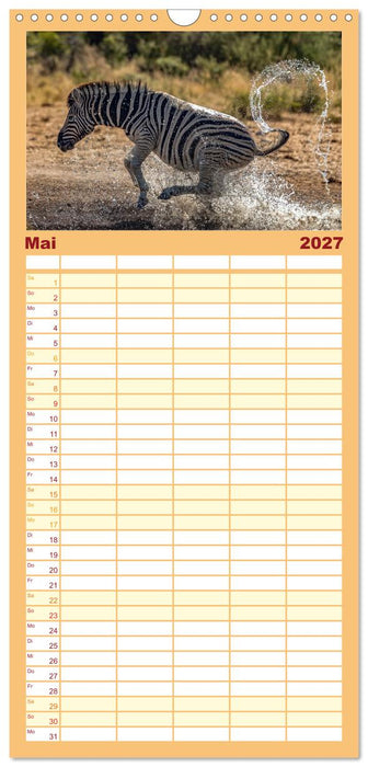 Action in der Savanne (CALVENDO Familienplaner 2027)