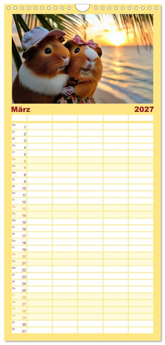 Meerschweinchen - Hauptsache Urlaub (CALVENDO Familienplaner 2027)