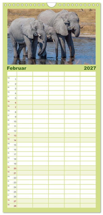 Elefanten Begegnungen im östlichen und südlichen Afrika (CALVENDO Familienplaner 2027)
