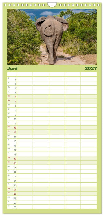 Elefanten Begegnungen im östlichen und südlichen Afrika (CALVENDO Familienplaner 2027)