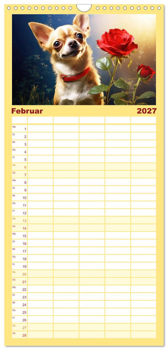 Lustige Chihuahua-Momente (CALVENDO Familienplaner 2027)