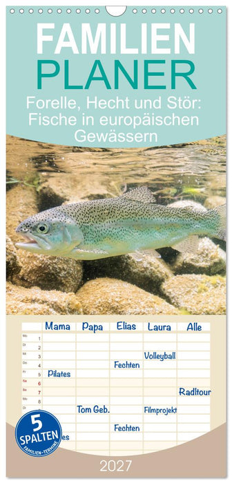Forelle, Hecht und Stör: Fische in europäischen Gewässern (CALVENDO Familienplaner 2027)