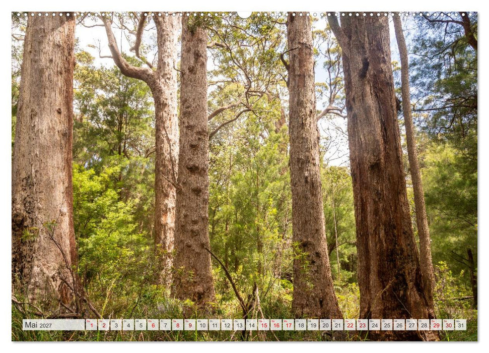 Das südliche Australien - vielfältig, überraschend, unvergesslich (CALVENDO Premium Wandkalender 2027)