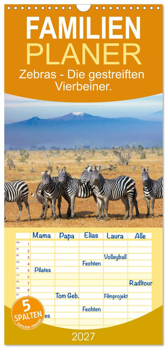 Zebras - Die gestreiften Vierbeiner. (CALVENDO Familienplaner 2027)