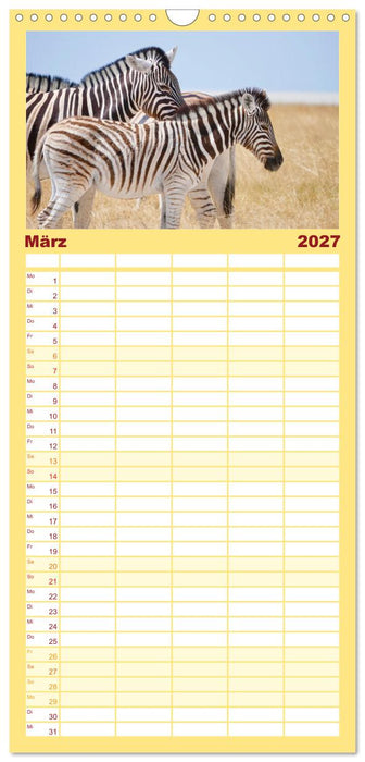 Zebras - Die gestreiften Vierbeiner. (CALVENDO Familienplaner 2027)