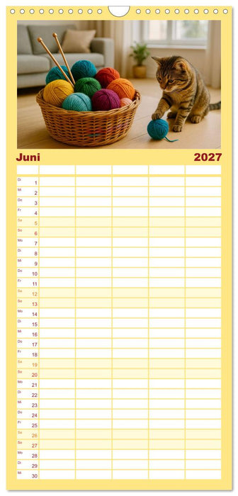 Stricken und Wolle (CALVENDO Familienplaner 2027)