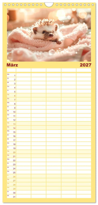 Lustige Igel (CALVENDO Familienplaner 2027)