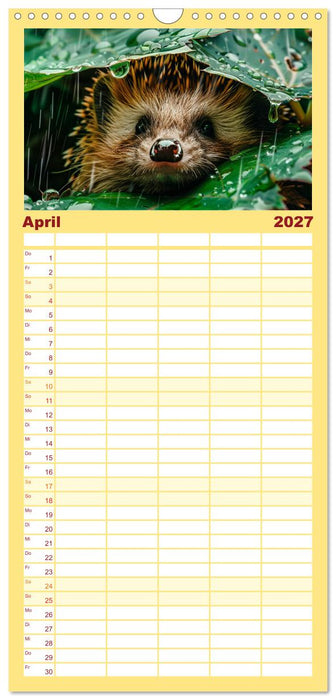 Lustige Igel (CALVENDO Familienplaner 2027)