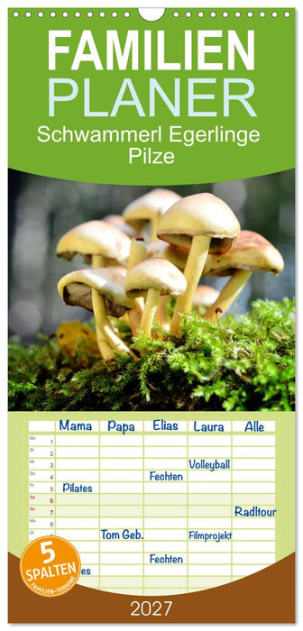 Schwammerl Egerlinge Pilze (CALVENDO Familienplaner 2027)