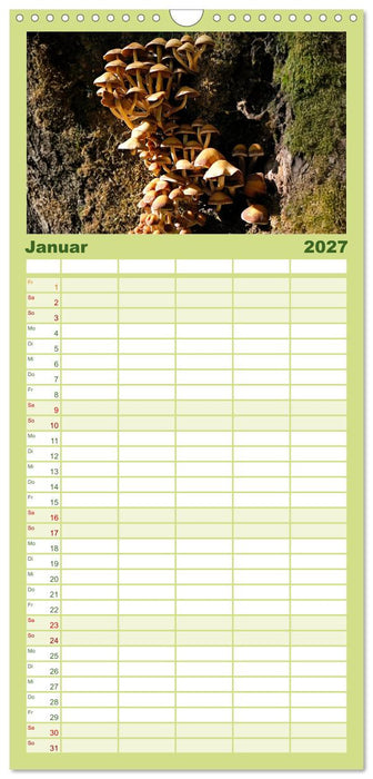 Schwammerl Egerlinge Pilze (CALVENDO Familienplaner 2027)